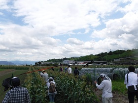 遠藤ひろしの動き